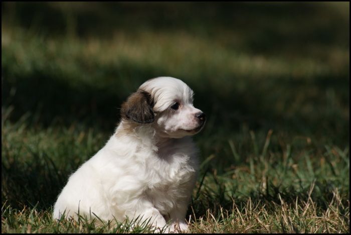 Haika Du Coeur Des Tenebres