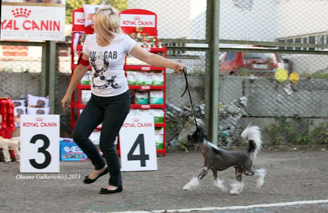 The Dance - Redwitch