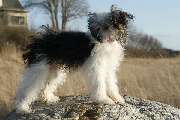 My Tiny Treasure Broke The Mold