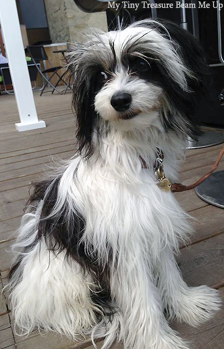 My Tiny Treasure Beam Me Up