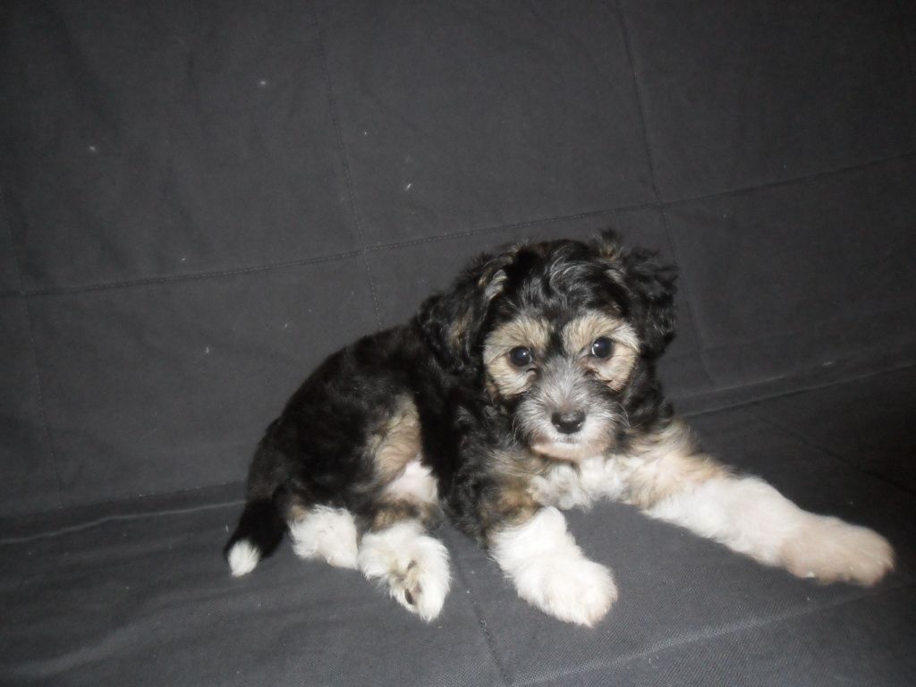 Vlada Laskovoe Solnyshko