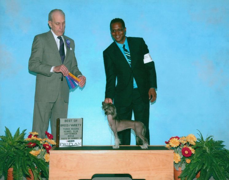 Xzotika's Sukiyaki by Edelweiss