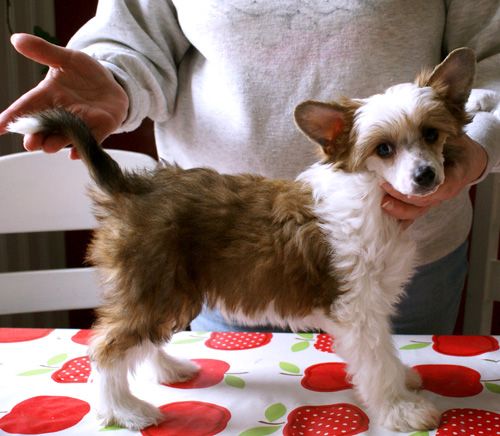 All Saints Daddy's Hero