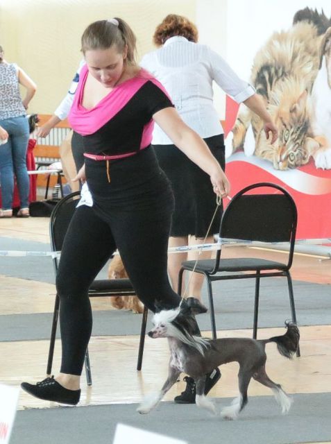 Filicia Blak Ot Le Sand Royal