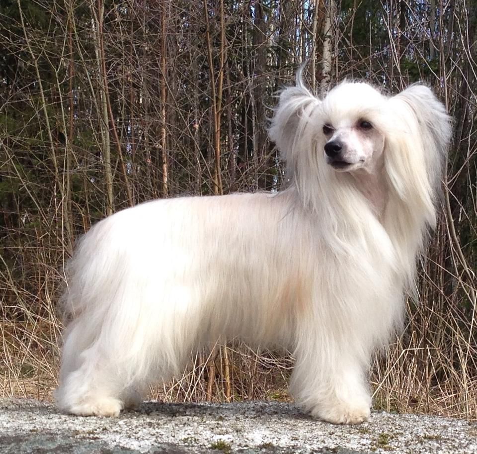 Arte Figure Hole In One