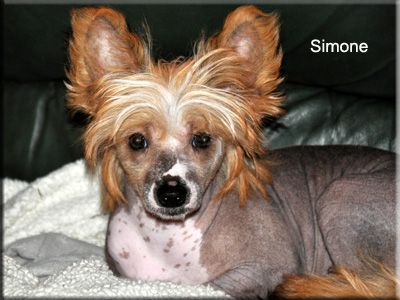 YaGudina's Sweet Lady