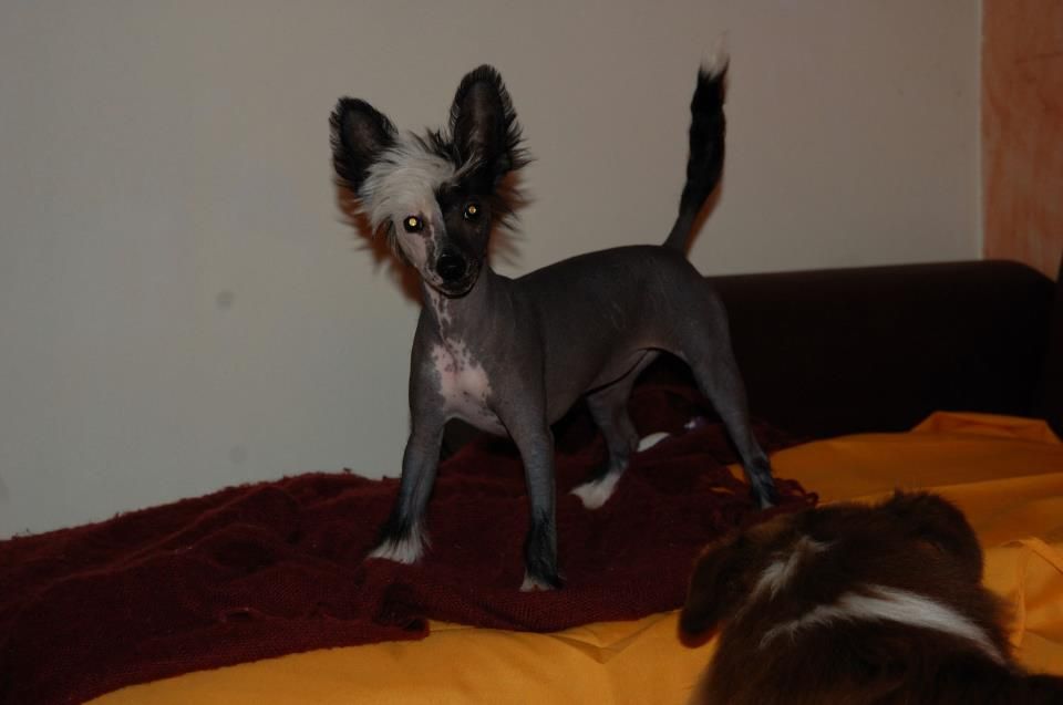 La Môme Top model De Rama