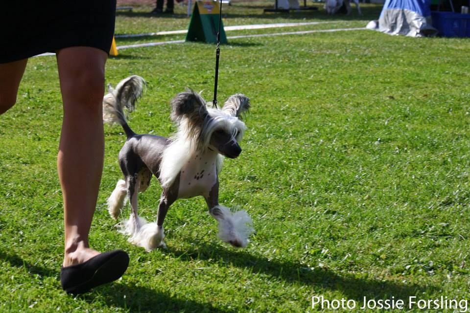 Smart Style Only For You