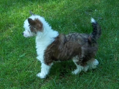 Tailgate's Heart and Soul