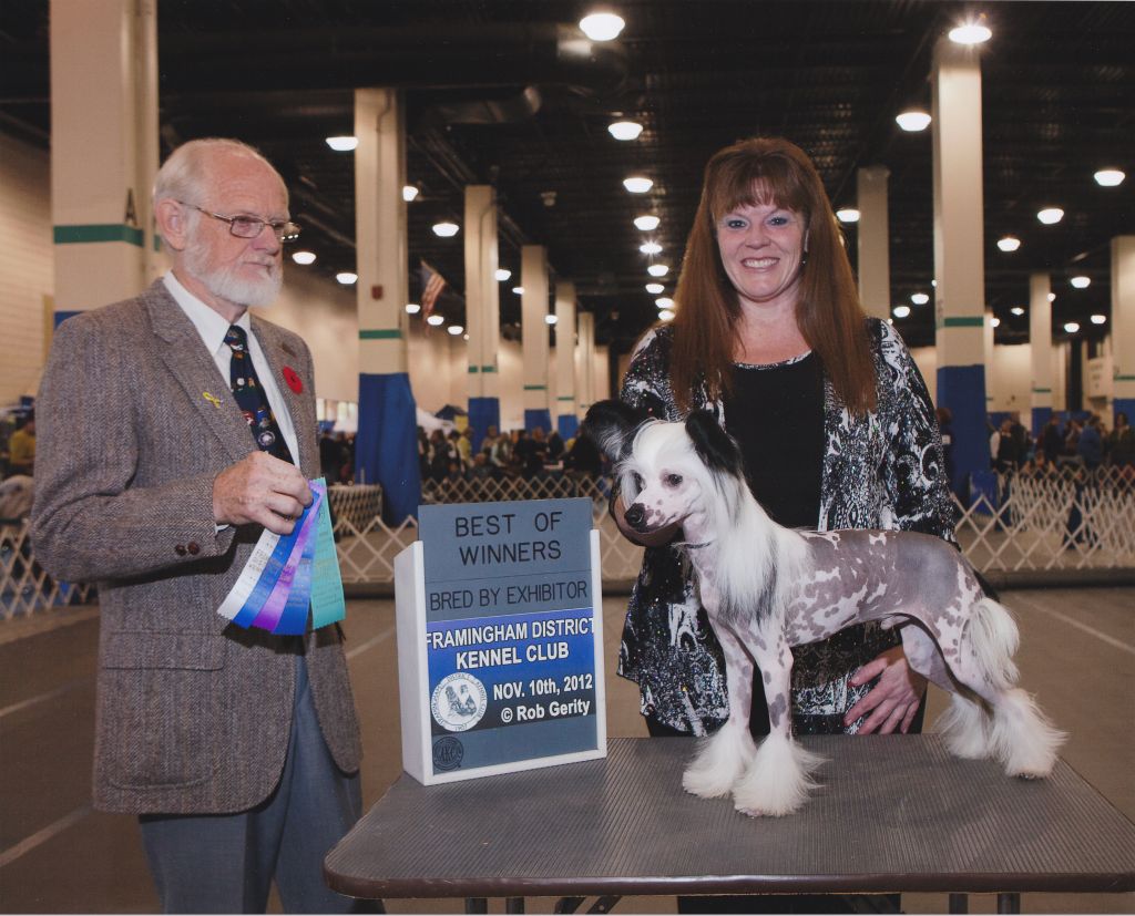 Tailgate's Heart Throb