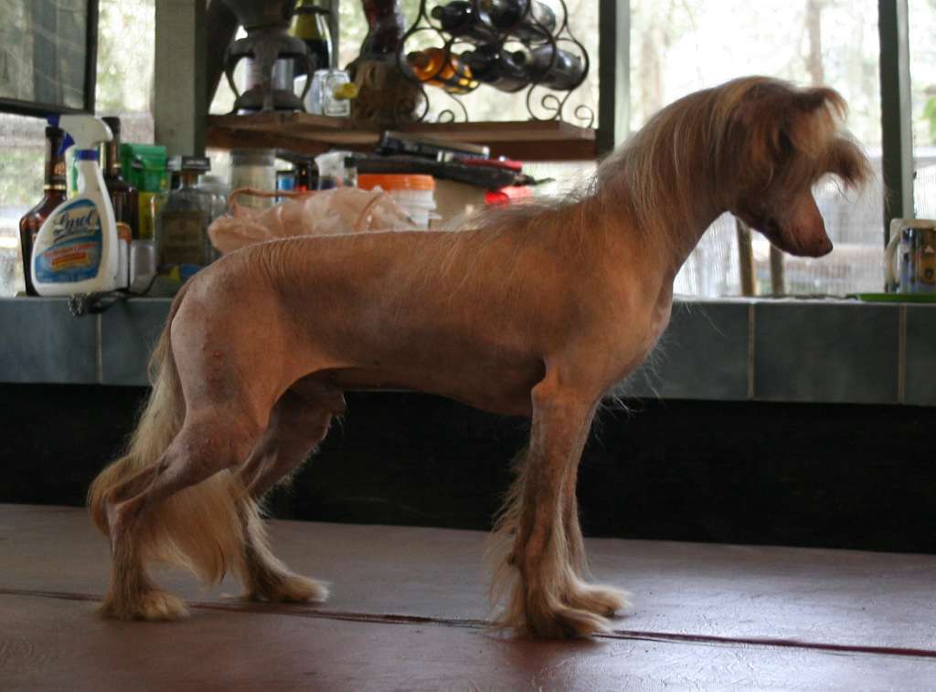 Hairicane Zions Red Sky at Morning