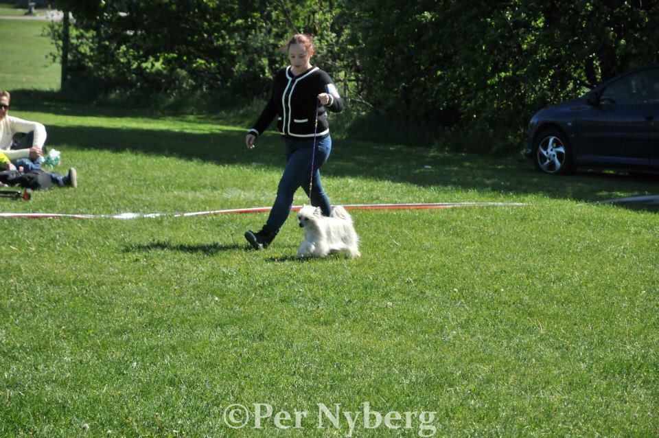 Lickershamns Vittring