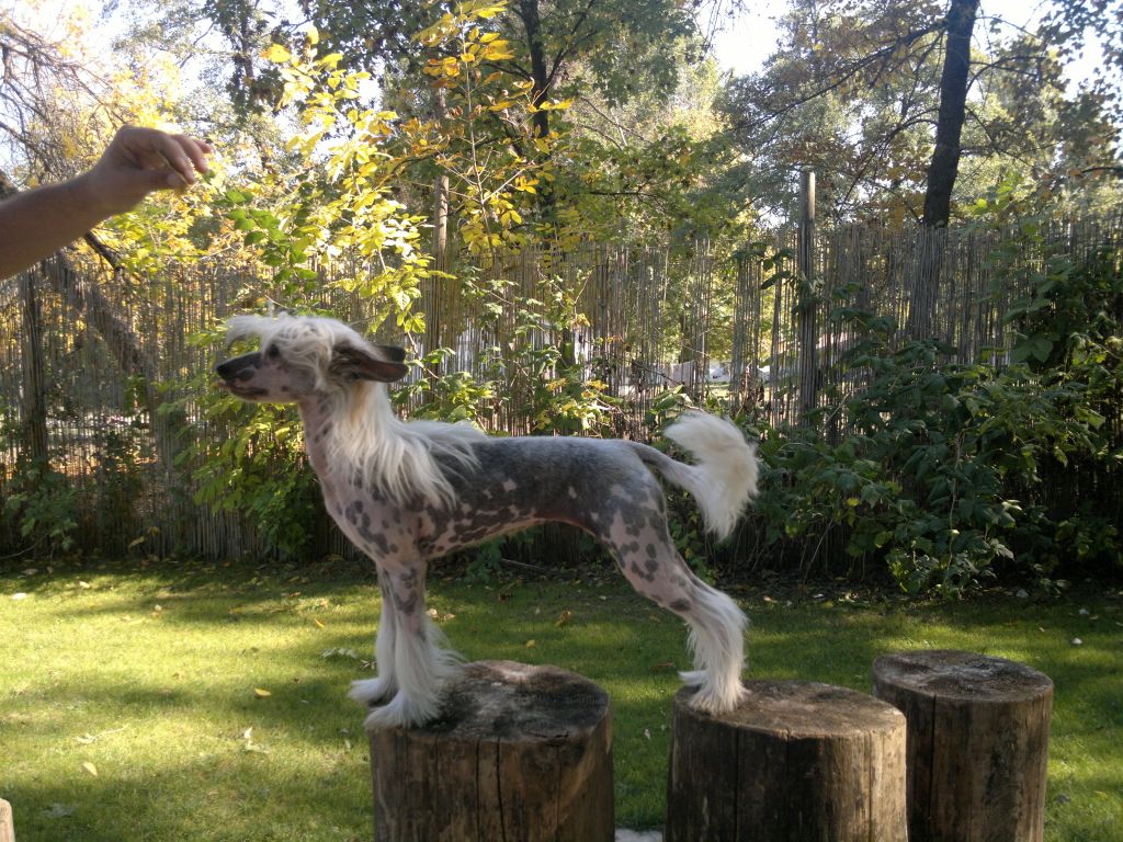 Noor E Alam's Musharabi Bei Alem De Gaal