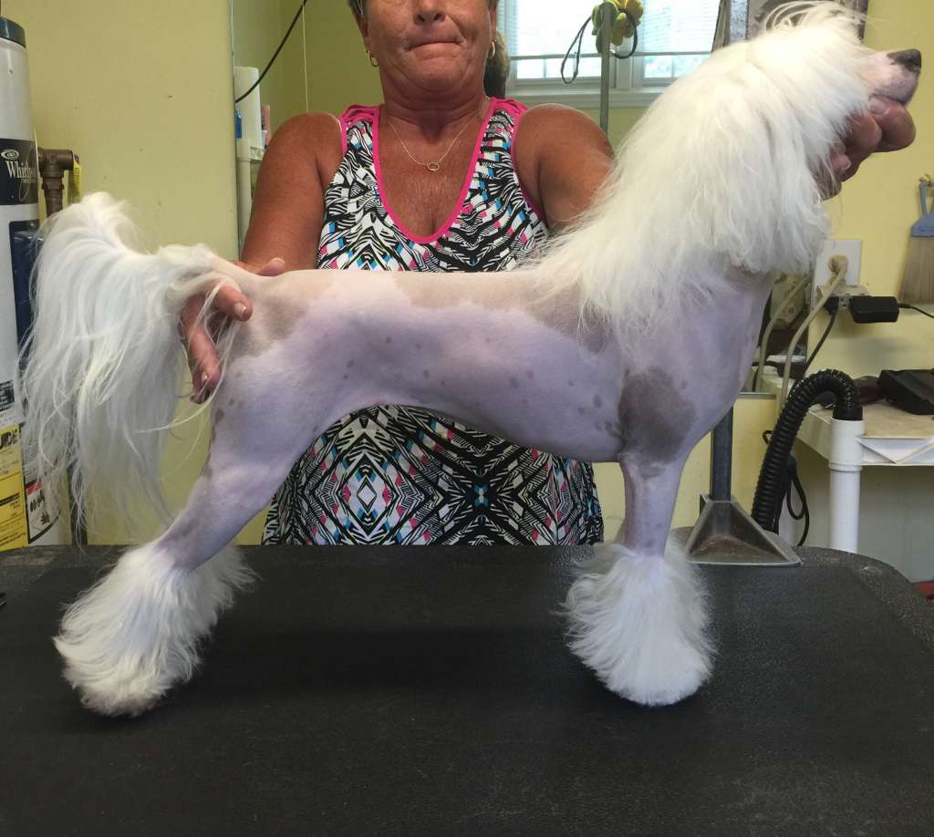 Zhen's Leather And Lace