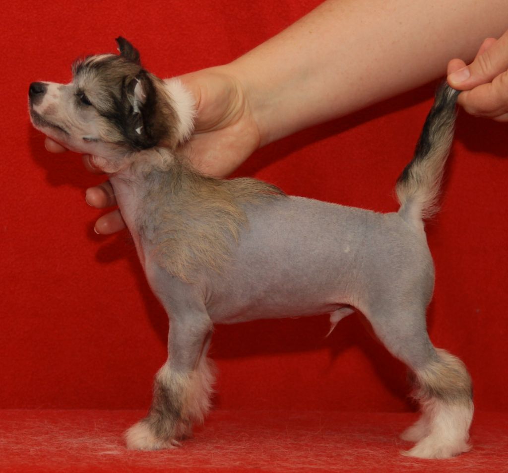 Premier Mari Richard