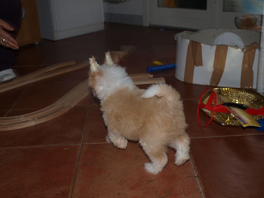 Justice worty of price