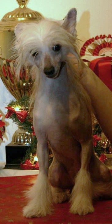 Truckin my Troubles away GabriTho's Two