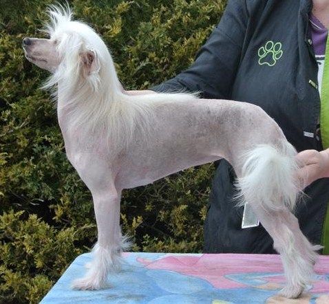 Keeping my Secrets GabriTho's Two