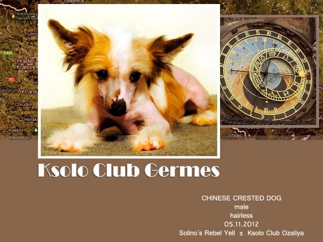 Ksolo Club Germes