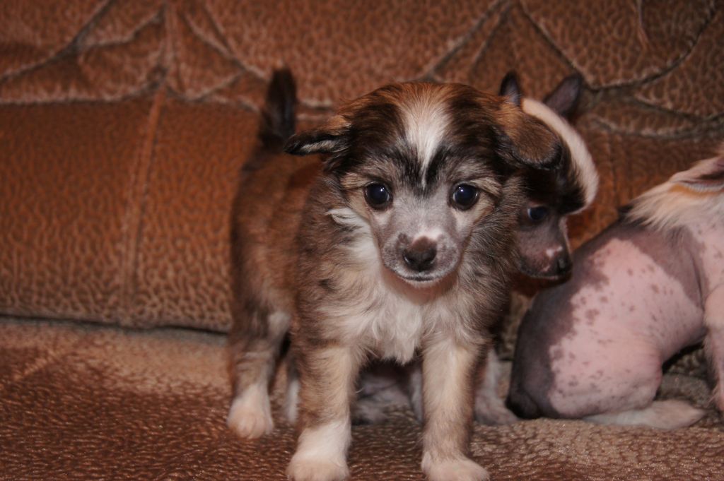 Veronika is Severnoy Venecii