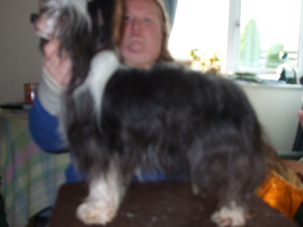 Khanor Forever Loved