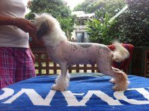 Sherabill Supercharged