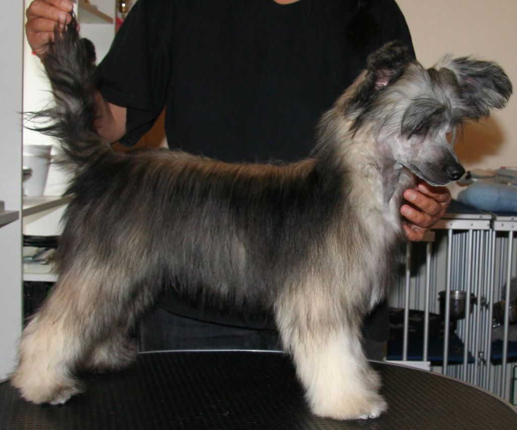 Absolute Souls Takin' Back My Love