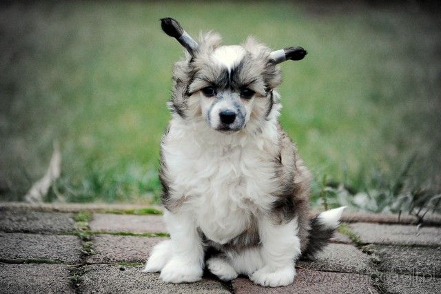 Issima Secret Gattaca