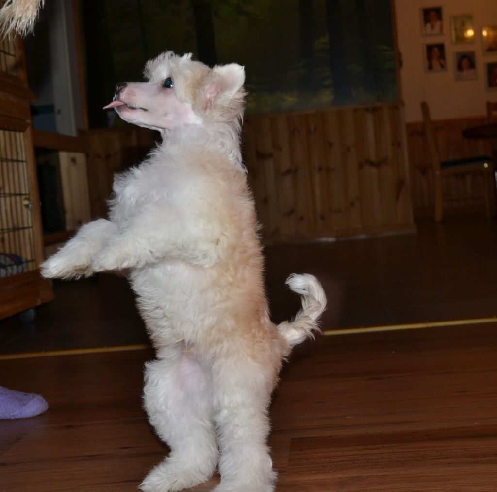 De La Mahafu's GiGlam Kid