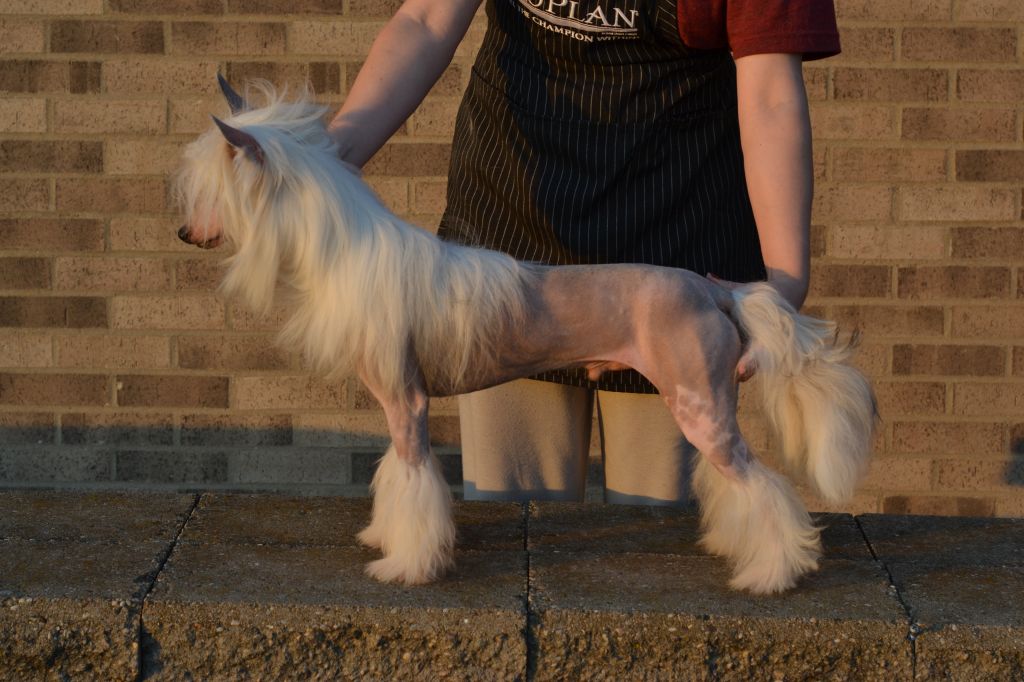 Famous Breaking the Law