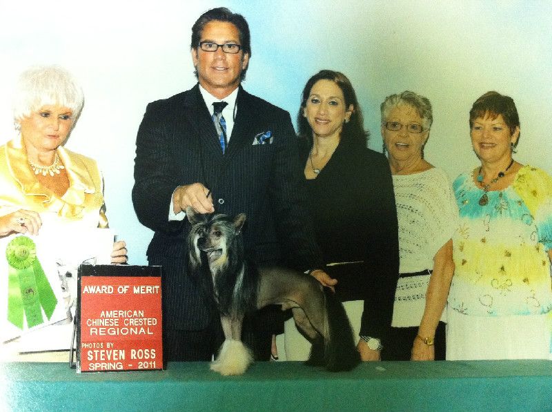 Risin Star Diamond in the Ruff