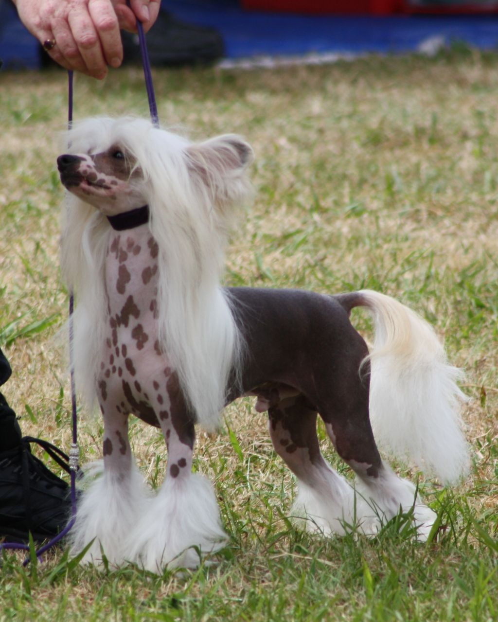 Koreke A Kodak Moment At Yacanto