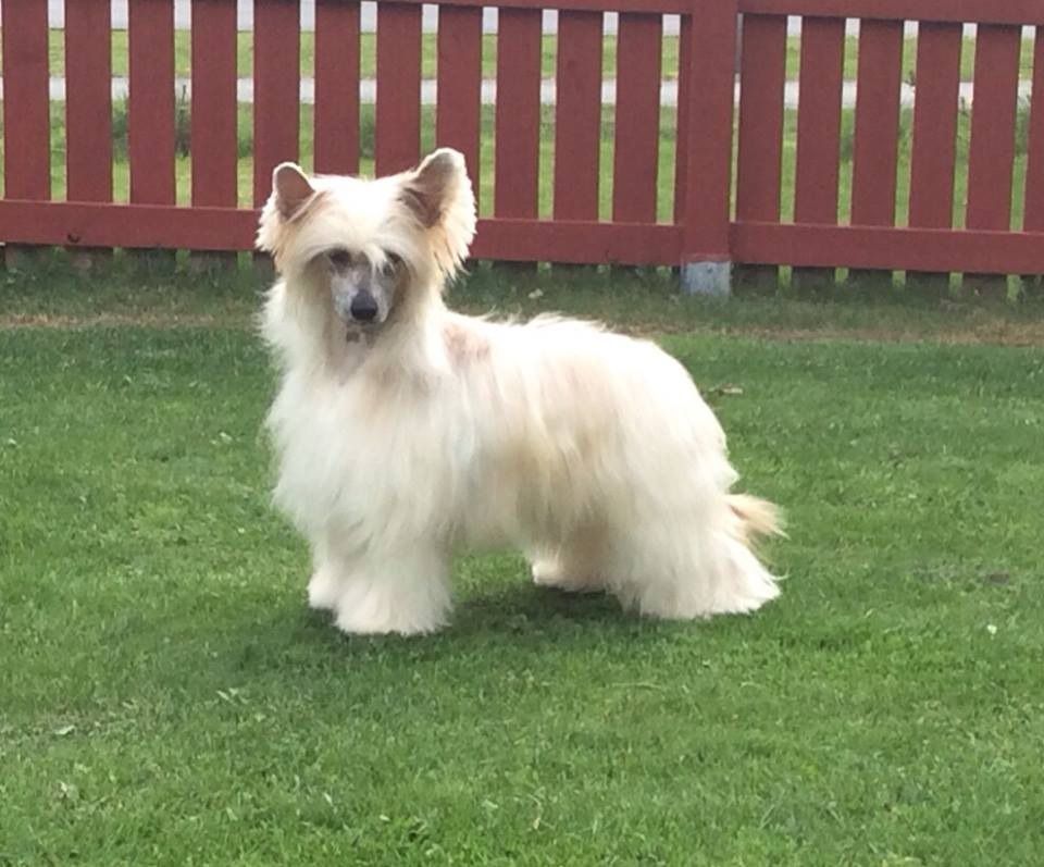 Jacomo Silence Gattaca