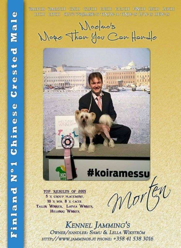 Moelmo's More Than You Can Handle