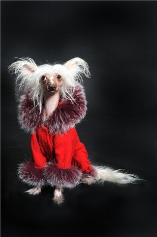 Glamurnaya Shtuchka Iz Goroda Slavy