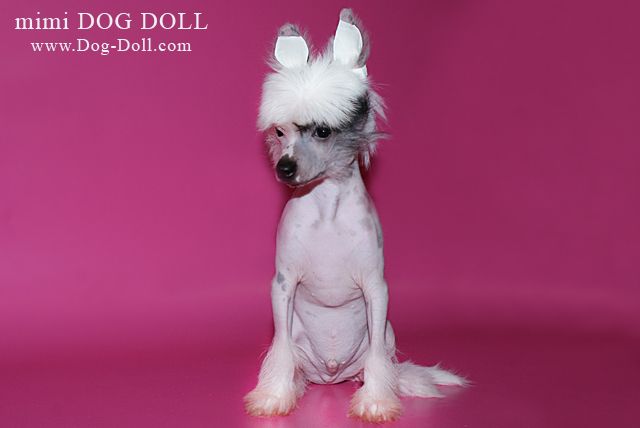 Mimi Dog Doll O...