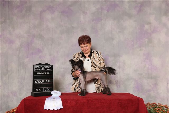 Oceaniahcc BlueMoon Elvis