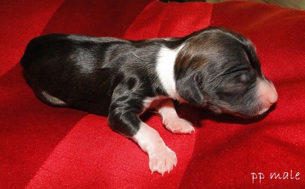 Forseti's Empire City