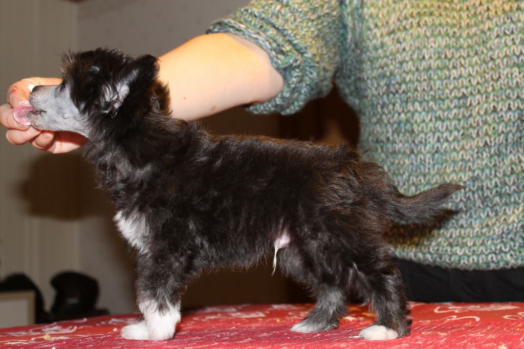 Ixtri's Best kept secret