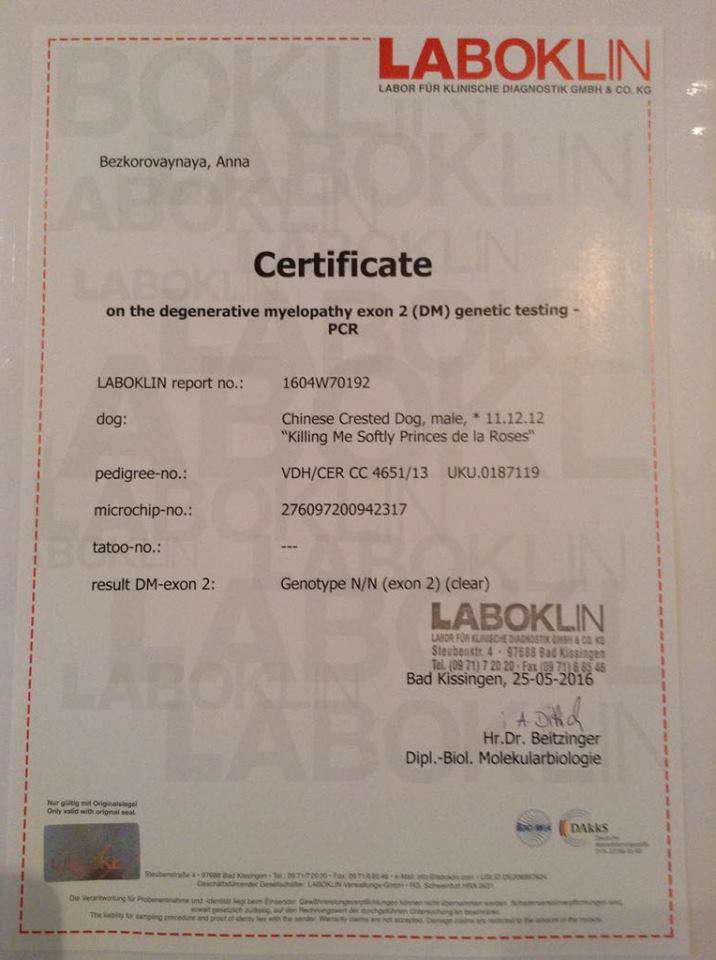 Killing Me Softly Princes de la Roses