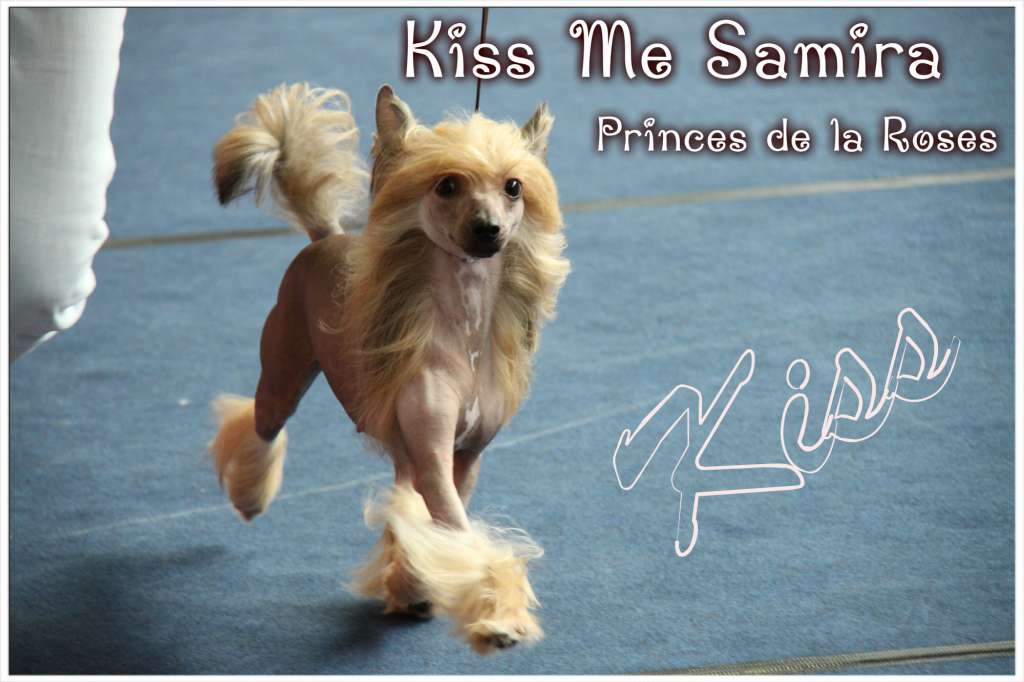 Kiss Me Samira Princes de la Roses