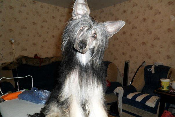 Vald Rotmas Katashi Akira