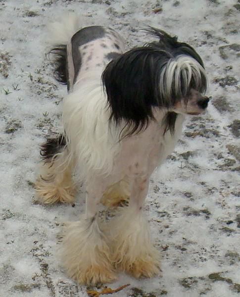 ELLIS z Frýdeckého zámku