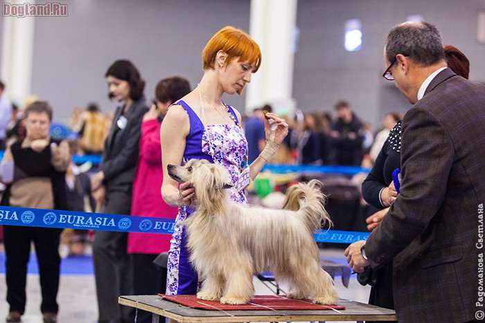 Grand Sunlife Rolls-Royce