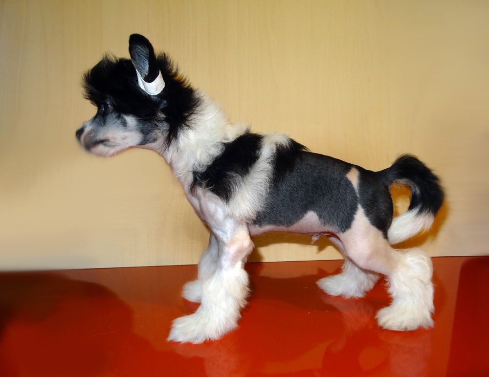 Futureline Felicie J