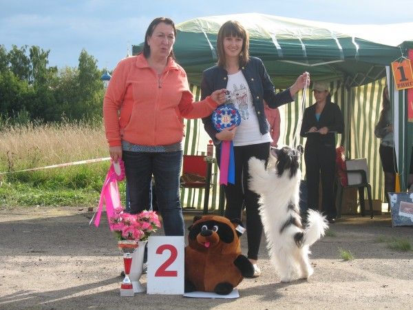 Armani Sharm Broadway Star