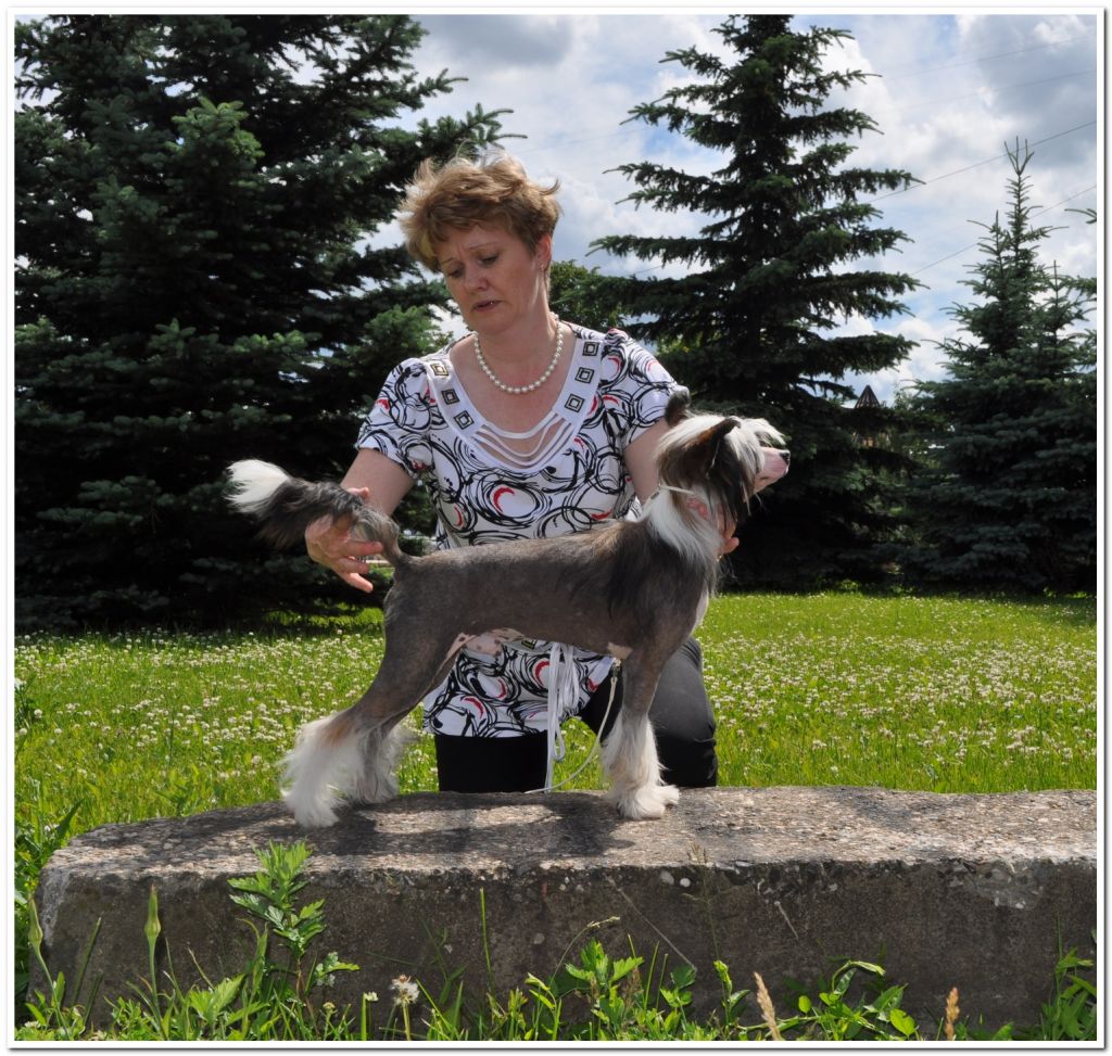 Armani Sharm Basic Element