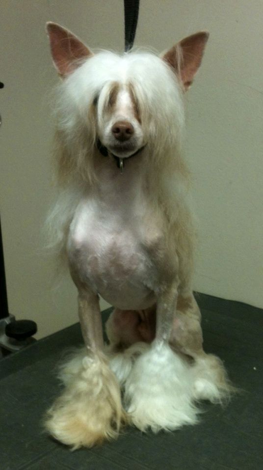 Caspian "Don't Trust Me" McLovin'