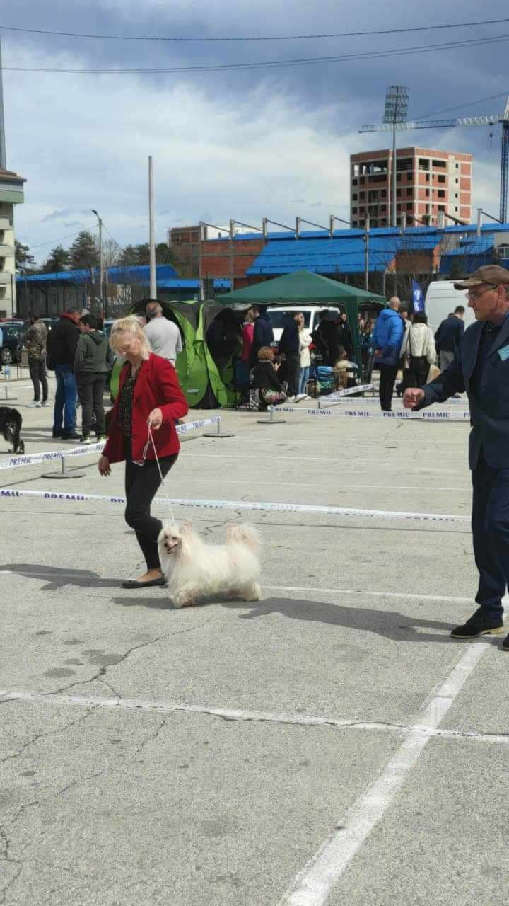 MIGNON z Królestwa Motyli