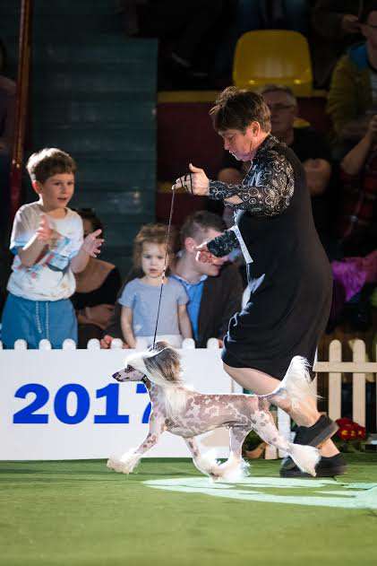 Yarik  Roingold  Djemanshy